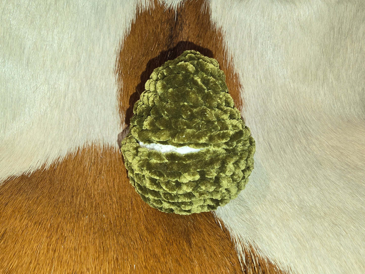 Little Chick in Egg