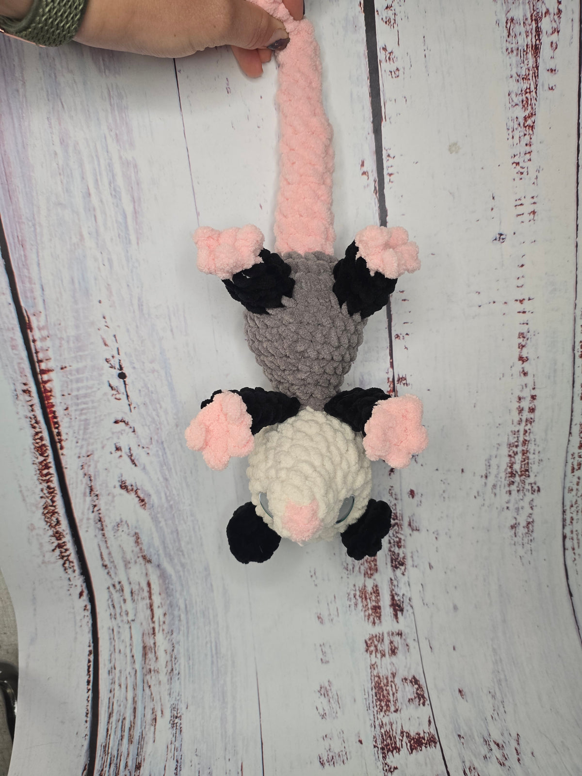 Little Opossum