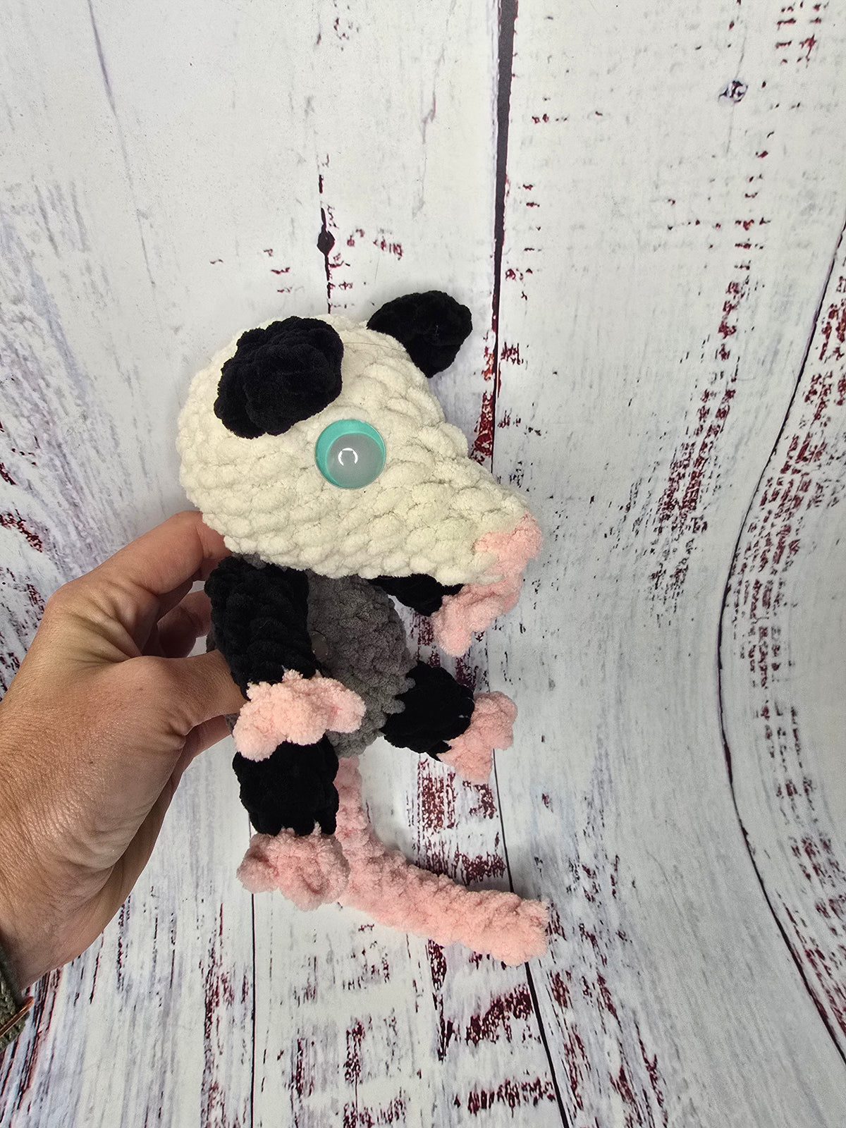 Little Opossum