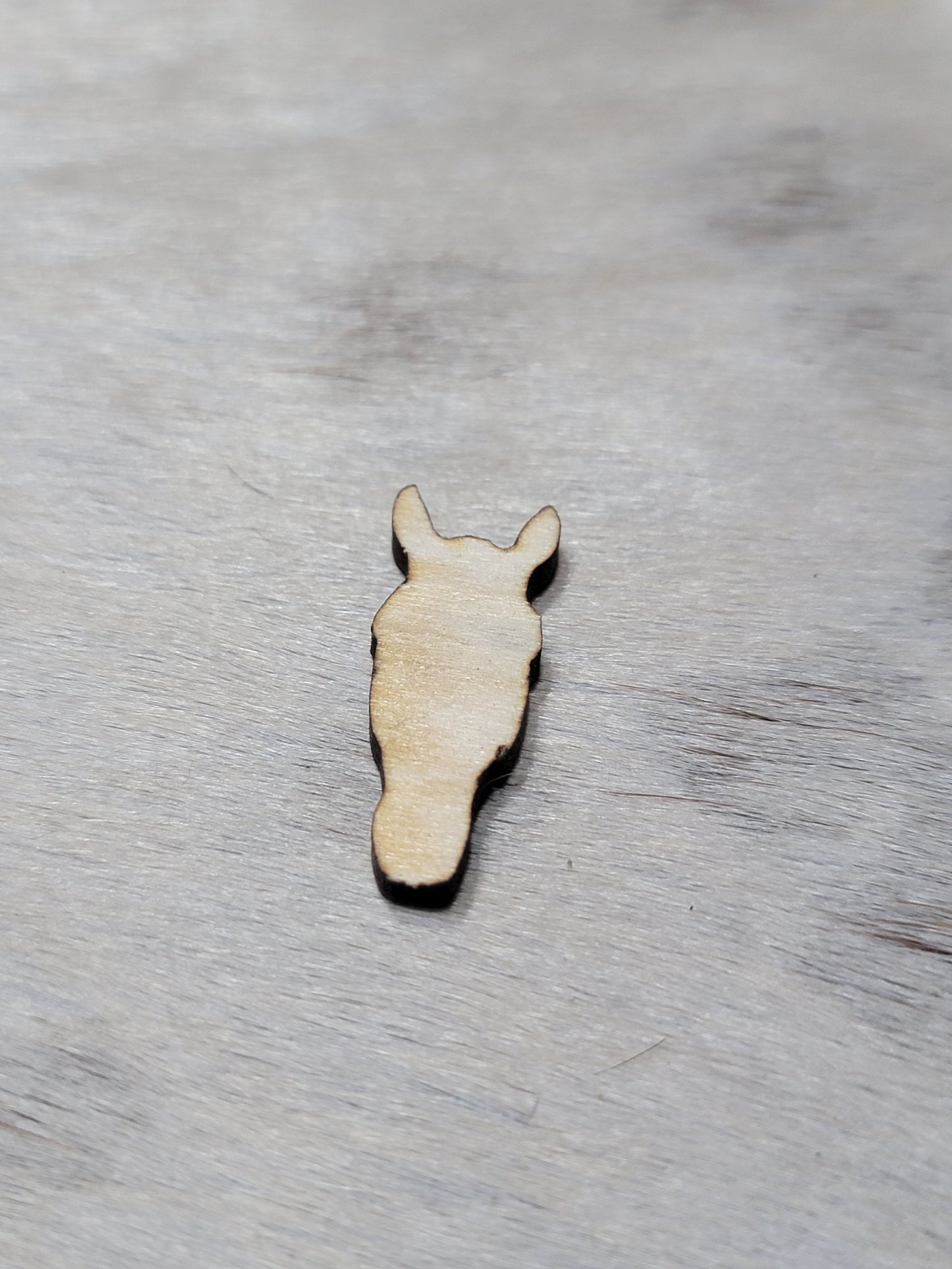 Custom Basswood Earrings